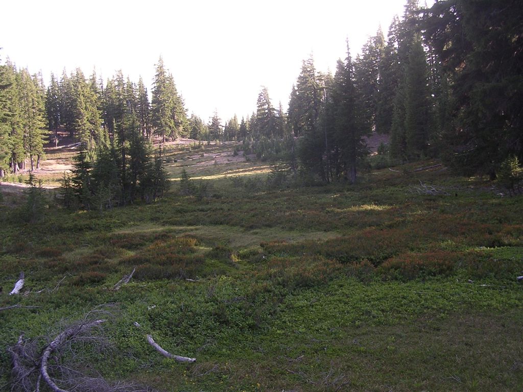 For a landlocked girl from Colorado, I'm still floored by every coastline I walk on. I was particularly impressed by Rialto Beach in Olympic National Park, especially since I had perfect weather, a rarity in this part of the country.  (Jessica Barr)