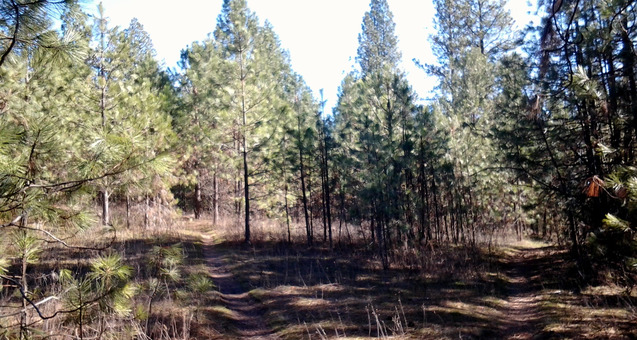 Dunk the "dirty" hydration vessel into your water source.