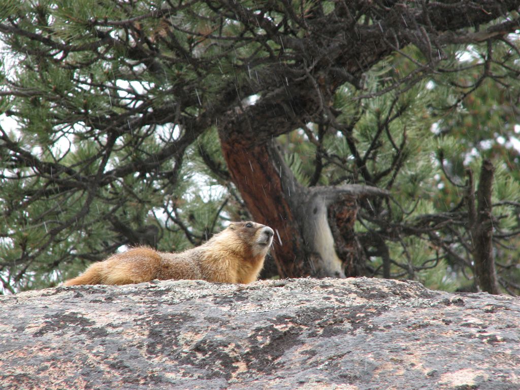 Illustrations of Myths