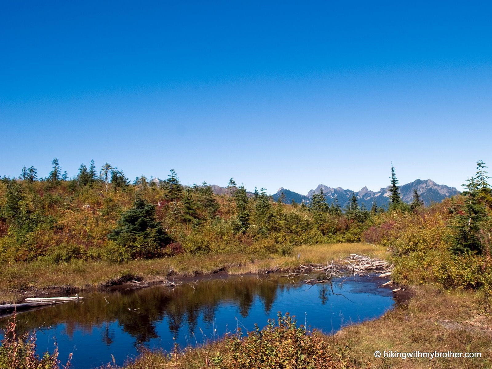 After just two miles, the trail to Snow Lake ends. And so does the traffic. Continue off-trail into a small kingdom of jagged peaks, huckleberry-carpeted hillsides, and rarely seen or photographed views of Mt. Rainier.