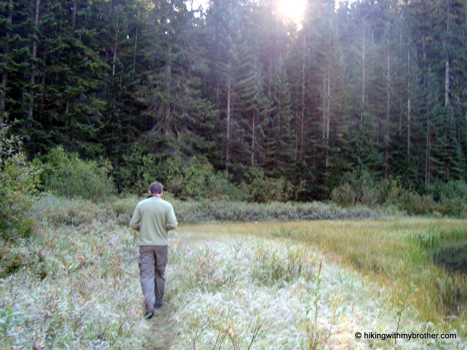 The hike to Kootenay's Rockwall begins at Marble Canyon.