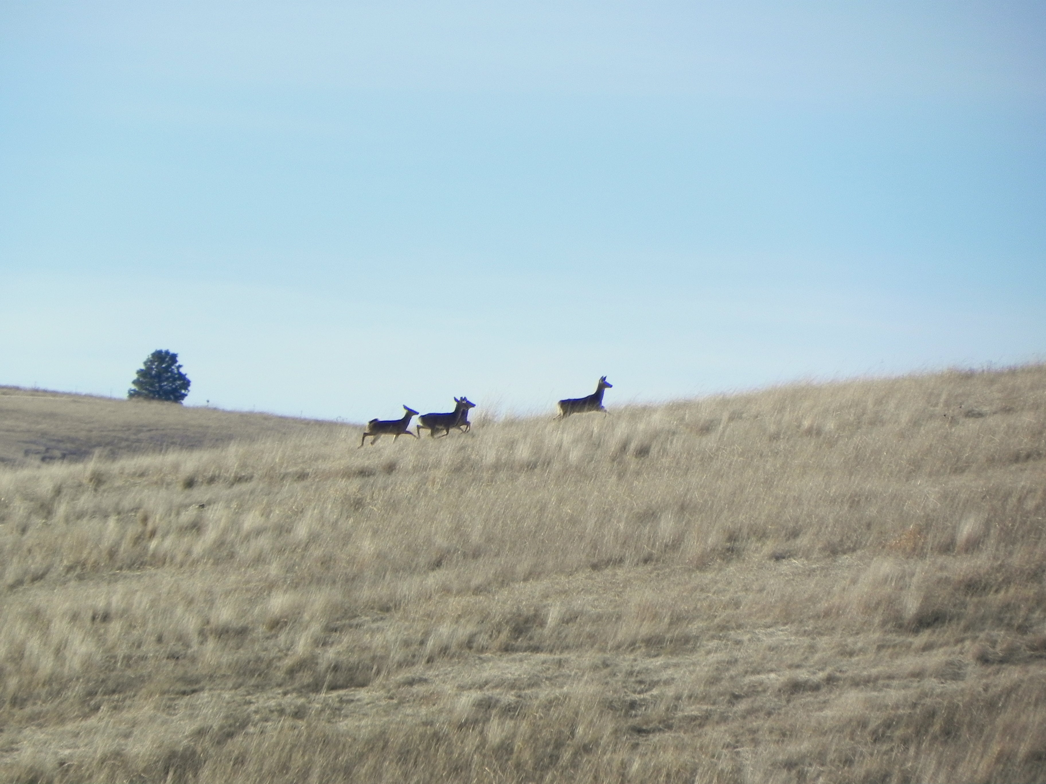 cool hiking gadgets 2018