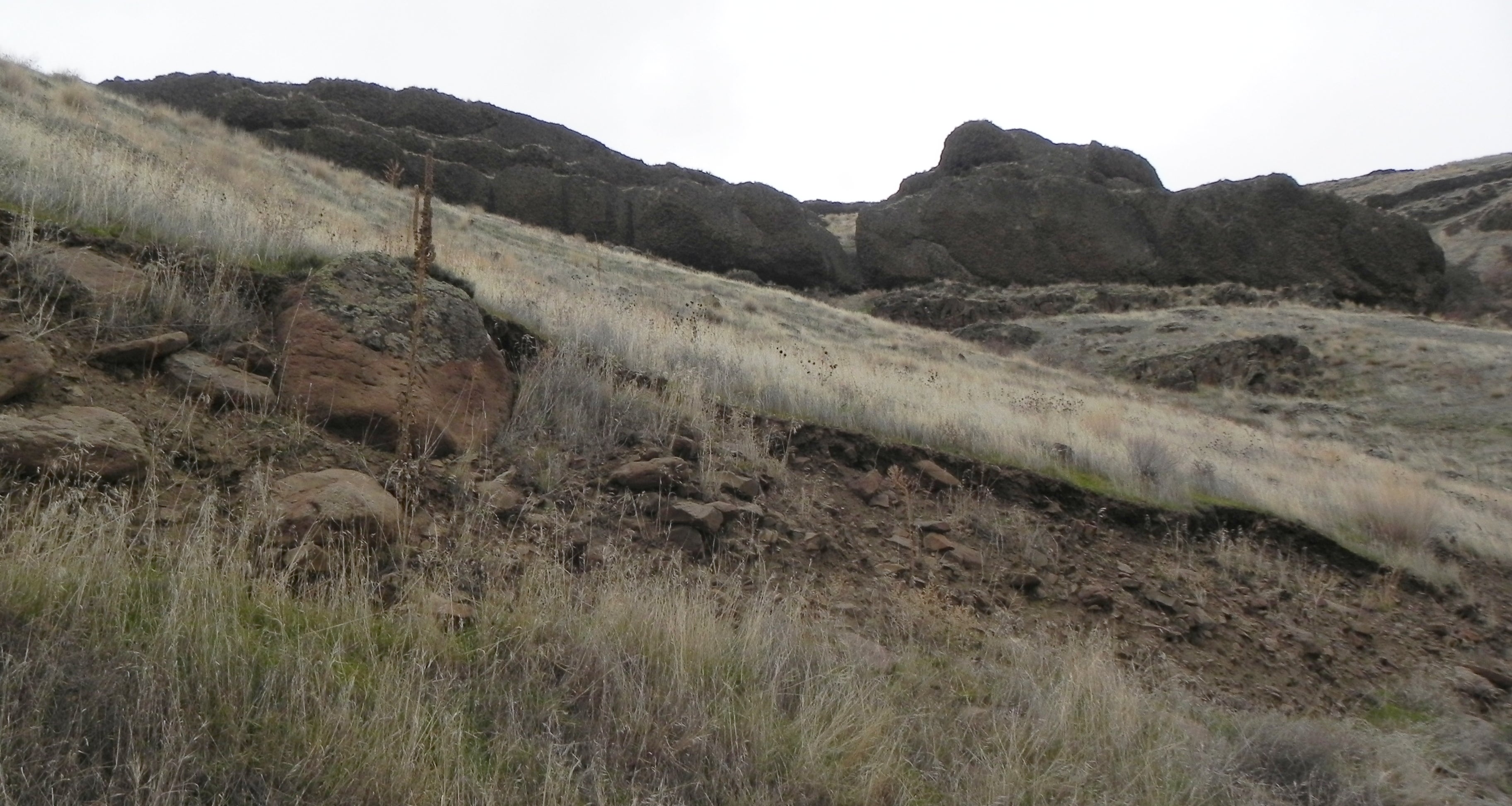 leki trekking pole baskets