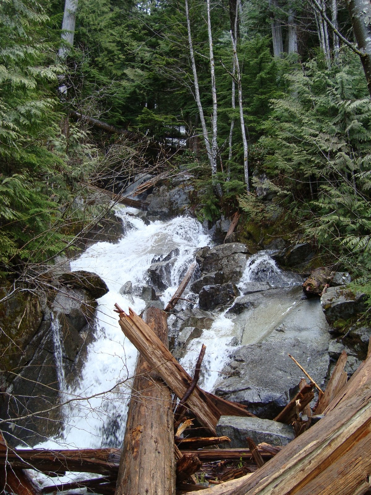 backpacker gear of the year 2019