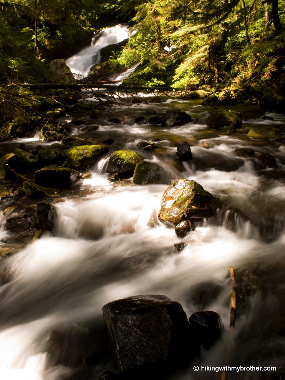 Backpacker's Bible: 10 Skills Every Backpacker Needs to Know