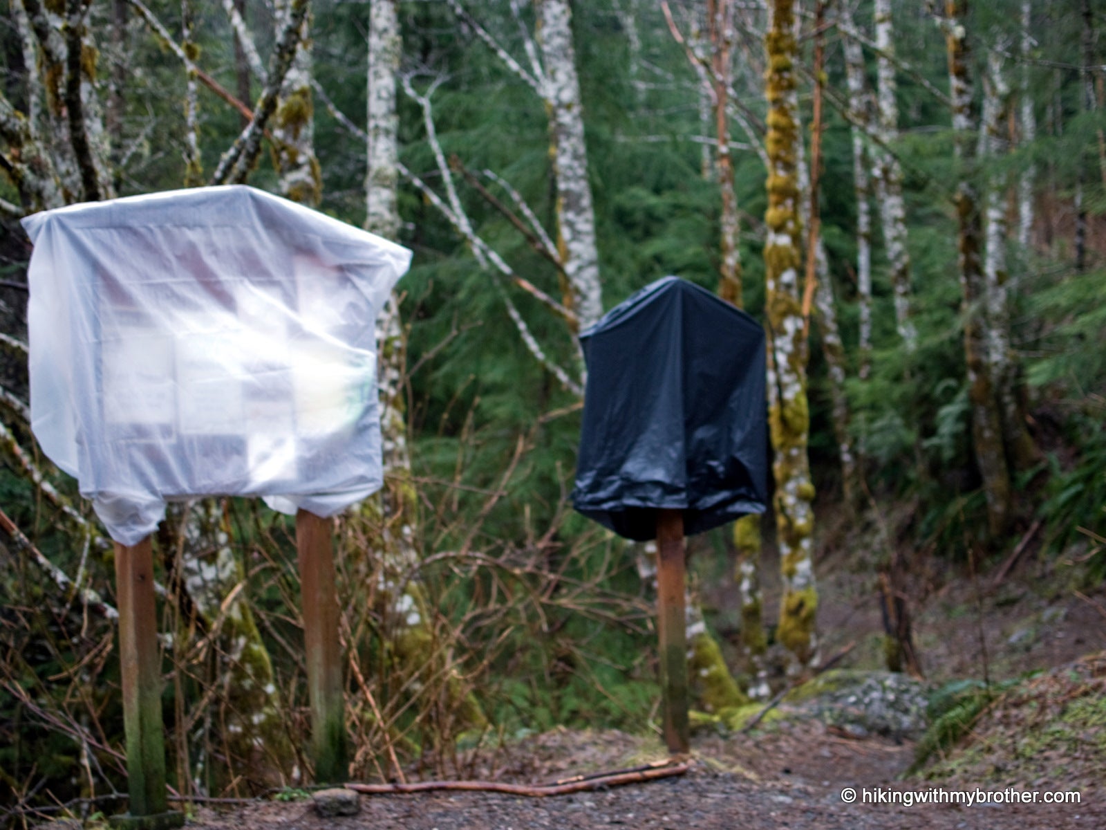 Explore America's Best Wilderness With These BACKPACKER-Approved Guided Treks