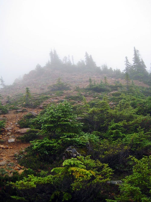 The White Mountains’ Great Gulf Wilderness harbors plenty of secrets for those willing to look.
