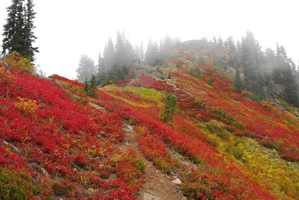 Everything You Need To Know About Hiking The Pacific Crest Trail Backpacker