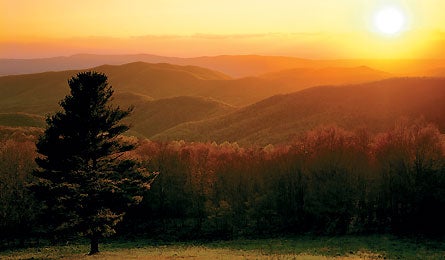 Shenandoah 445x260.jpg 9621 Backpacker_Magazine_Shenandoah_National_Park
