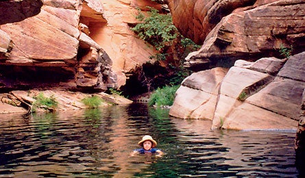 Wetbeaver 1007 445x260.jpg 9907 Backpacker_Magazine_Wet_Beaver_Creek_AZ,