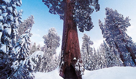 Yosemite 440x260.jpg 9626 Backpacker_Magazine_Yosemite