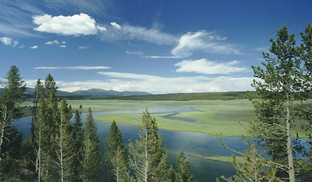 "Backpacker_Magazine_Yellowstone_NP"