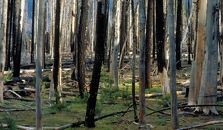 "Backpacker_Magazine_Dangers_Signs_Burn_Zones"