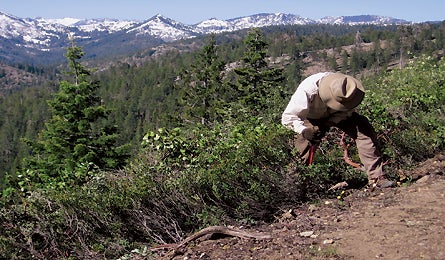 Trailbuild Pct 0408 Pcta 445x260.jpg 10646 Backpacker_Magazine_Pacific_Crest_Trail