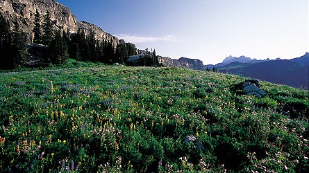 Tetons 3 0608 445x250.jpg 11190 Grand Tetons