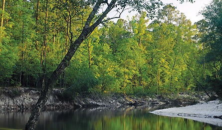 top3canoe_texas_0608_lparent_445x260 None