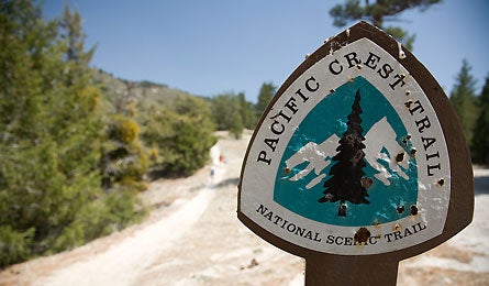 7-Bus.jpg 11318 Bus_to_the_trail_7