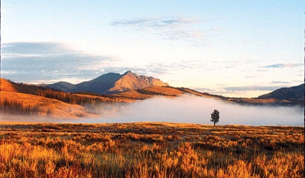 Destination Nowhere 2 12092 yellowstone