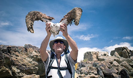 Red Desert 2 11922 bighorn_skull