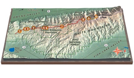 "theworksnowshoemap_445x260"