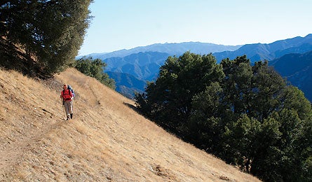 Ventana Wilderness, CA 12303 Ventana Wilderness, CA