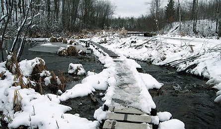 "0109_icehike_chippweamorrainewi_445x260"