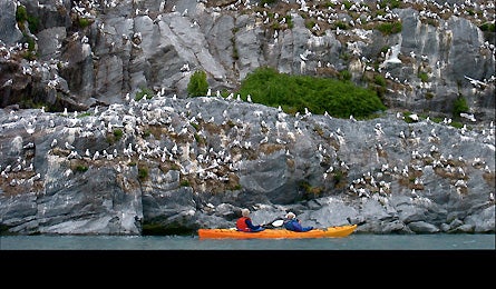 0109 Readerphoto Princewilliamsound 12938 0109_readerphoto_princewilliamsound