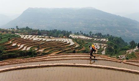 March 2009 China Nan Ping Village 445x260 16135 china nan ping village