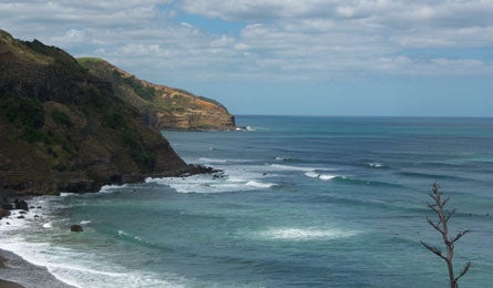 New Zealand Beach 16339 new zealand beach