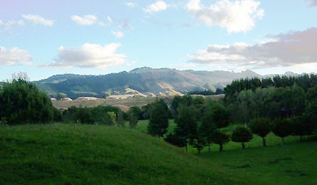 New Zealand Beautiful Valley 16333 new zealand beautiful valley
