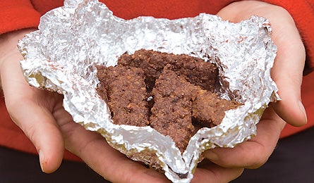 "may 09 burger jerkey 445x260"