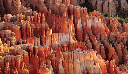 "may 09 dayhikes intro 445x260"