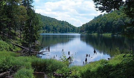 May 09 Dayhikes Northeast Devils Gulch 445x260 17400 may 09 dayhikes northeast devils gulch 445x260