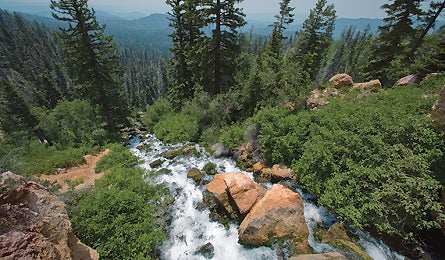 "august 09 top 3 dixie nf 445x260"