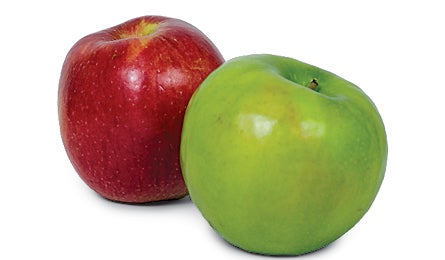 "backcountry dental care 445x260"