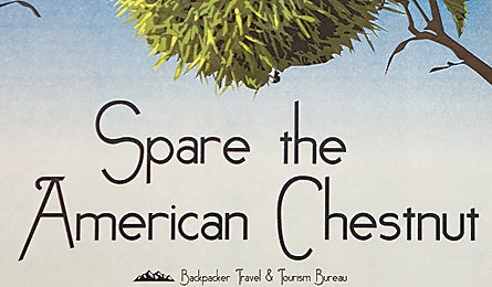 "june 09 hikeitsaveit chestnutt 445x260"