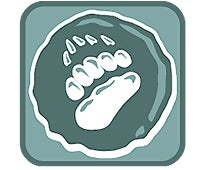 "august 09 animal track 200x170"