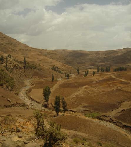 10. Africa 445x260 Justin Lichter None