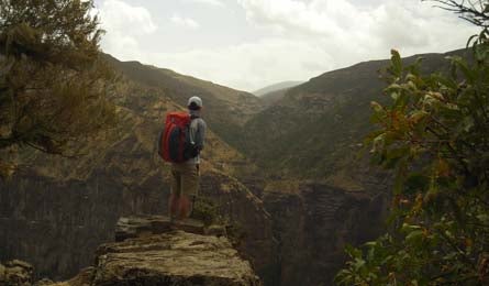 6. Africa 445x260 Justin Lichter None