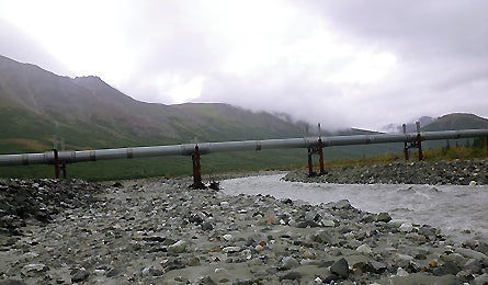 Alaska Slideshow 5 445x260 18274 alaska slideshow 5 445x260