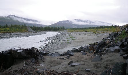 Alaska Slideshow 6 445x260 18275 alaska slideshow 6 445x260