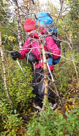 Alaska Slideshow 7 445x260 18276 alaska slideshow 7 445x260