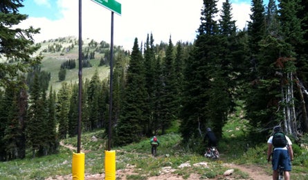 Gt Biking 17933 downhill_bike_targhee