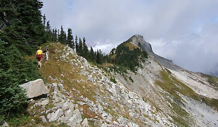 Jd Slideshow Tatoosh 8 445x260 18163 jd slideshow tatoosh 8 445x260