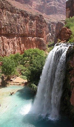 Reader Photo Havasu Falls 445x260 17952 reader photo Havasu Falls 445x260