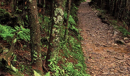 0909 Livingtunnel Kevinadams 445x260 18398 smokies livingtunnel_kevinadams_445x260
