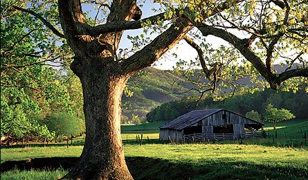0909 Smokies Old Barn 445x260 18396 0909 smokies old barn 445x260