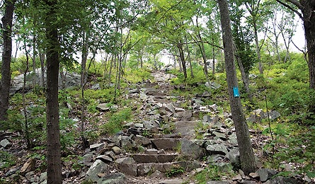 October 09 Blue Hills James Leighton 445x260 18720 october 09 blue hills james leighton 445x260