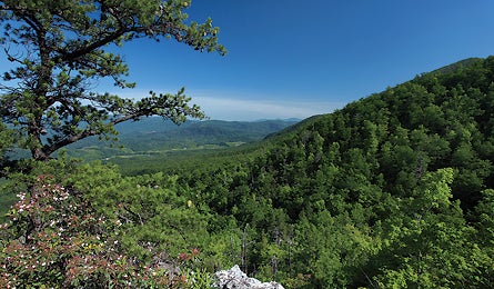 September 09 Co Black Canyon Bald Knob 445x260 18508 september 09 co black canyon bald knob 445x260