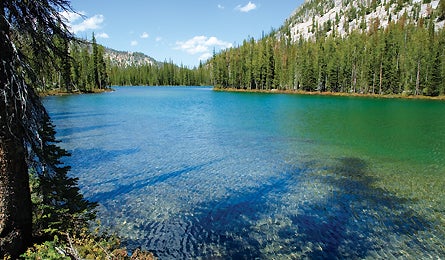 September 09 Loon Creek 445x260 18489 september 09 loon creek 445x260